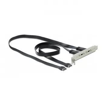 Slotplaat DeLOCK 89935 met 2 x USB Type-C aansluitingen