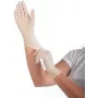Handschoenen latex poedervrij L (2671)
