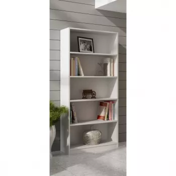 Topeshop R80 BIEL kantoorrek