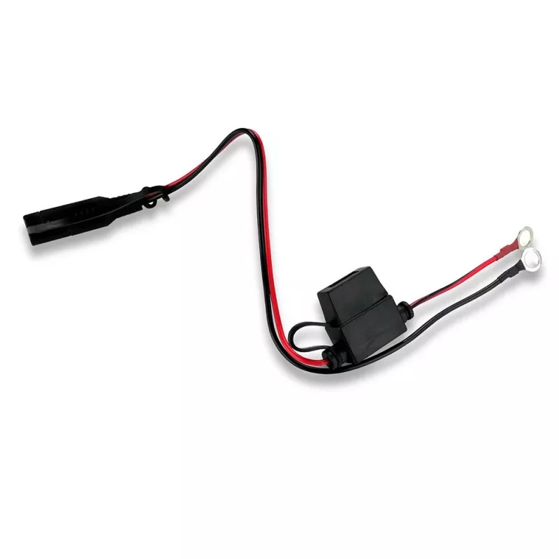 Autoaccu-oplader everActive CBC1 6V/12V