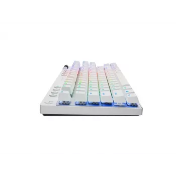 Logitech G PRO X TKL toetsenbord gaming RF draadloos + Bluetooth QWERTY US International wit