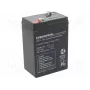 Lood-accu europower EP4.5-6 6V 4,5Ah