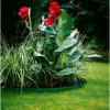 Gardena 00538-20 tuingereedschap groen