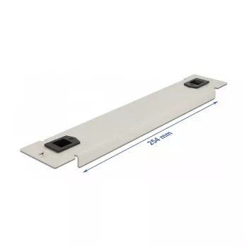 Blindplaat DeLOCK 10 inch netwerkkast 66629
