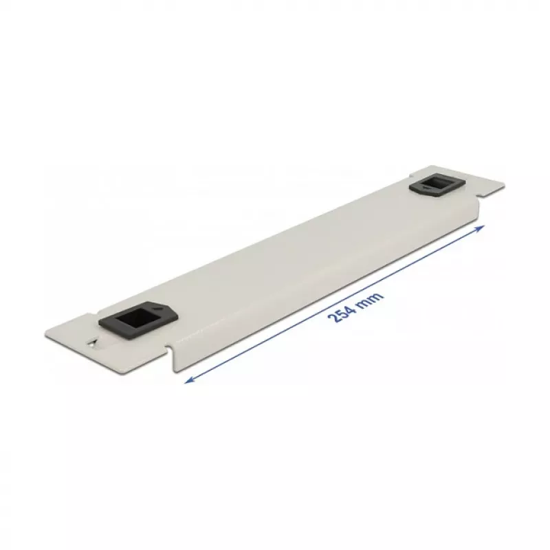 Blindplaat DeLOCK 10 inch netwerkkast 66629