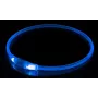 LED-halsband KABB blauw voor honden en katten – oplaadbaar, verstelbare veiligheidshalsband met verlichting