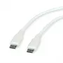 ROLINE USB 2.0-kabel C-C ST/ST siliconen 60W 1m wit - kabel - digitaal/data (11.02.9126)