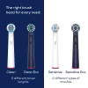 Beurer TB Clean Eco Green Planet borstelkoppen, donkerblauw, 4-pack