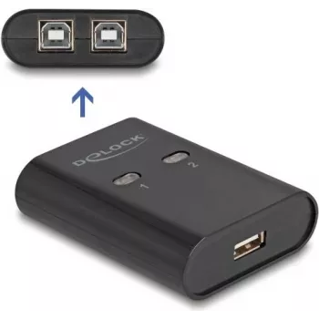 DeLOCK USB 2.0-periferieschakelaar