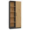 Boekenkast-opzet Topeshop RD-80 ANT/ART KPL, 10 legplanken, spaanplaat, 800×300×1820 mm