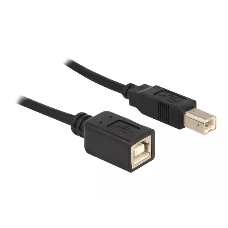 USB-kabel DeLOCK USB2.0-B 2 m USB B zwart