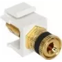 Keystone-module DeLOCK 86303