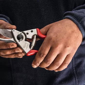 Felco | takkenschaar voor linkshandigen | FELCO 16
