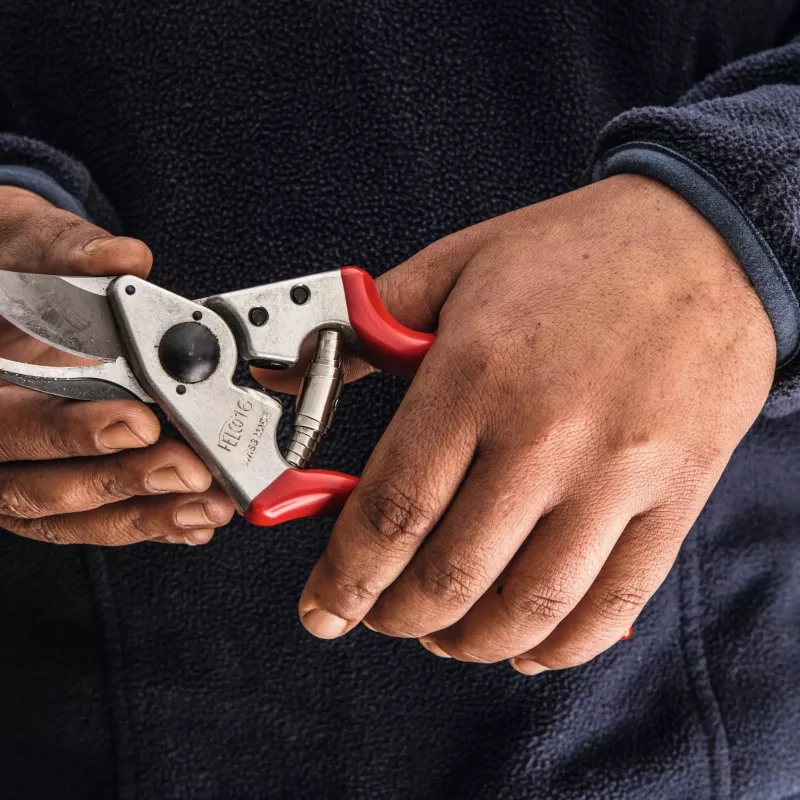 Felco | takkenschaar voor linkshandigen | FELCO 16