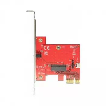 Interne M.2-adapter DeLOCK 89889