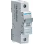Hager MCN120 C-type 1P 1-module installatieautomaat (MCN120)