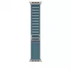 Band Apple MFTH4ZM/A smartwatch-accessoire Blue Titanium