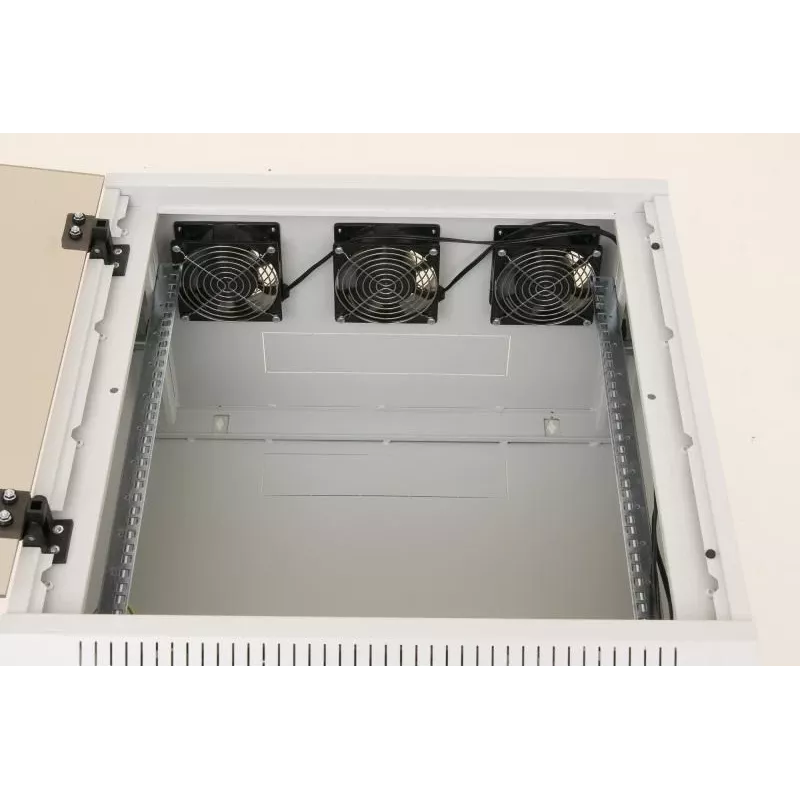 Wandmontagerack Triton RUA-12-AS6-CAX-A1 12U wit