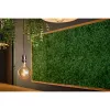 Smart-lamp Shelly Vintage G125