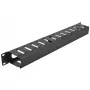Kabelmanagementpaneel DeLOCK 19 inch 66550 zwart 1HE
