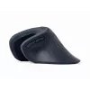 Gembird MUSW-ERGO-03 muis thuis rechtshandig RF draadloos optisch 1600 DPI