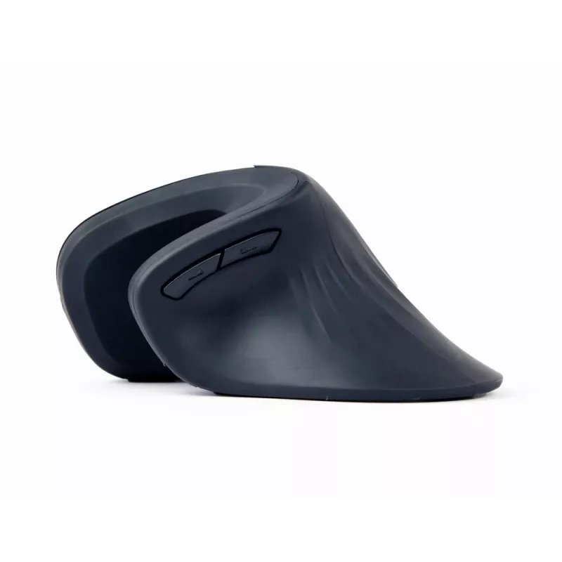 Gembird MUSW-ERGO-03 muis thuis rechtshandig RF draadloos optisch 1600 DPI