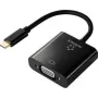 Renkforce RF-4679564 videokabeladapter 0,1 m USB Type-C VGA (D-Sub) zwart (RF-4679564)