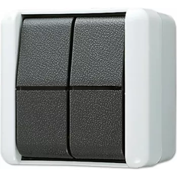 JUNG dubbel-taster 10AX 250V 2 wissels 839 W 839W