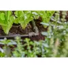 Buisverbinder Gardena 13202-20 geschikt voor druppelirrigatiesysteem