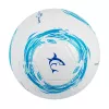 Voetbal White Shark TB-001 Dribbler 32-panel maat 5