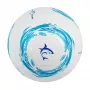 Voetbal White Shark TB-001 Dribbler 32-panel maat 5