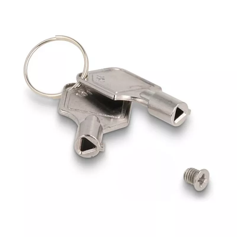 Delock - mobiel opslagrack - smalle bay - 5,25 naar 2 x 2,5 (13,3 cm naar 2 x 6,4 cm) - zwart (47019)