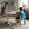 Ergo Office kinderbureau ergonomisch in hoogte verstelbaar, grijs, max. 100 kg, ER-417 2cz