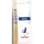 Royal Canin VHN Cat Renal droogvoer voor katten, 2 kg