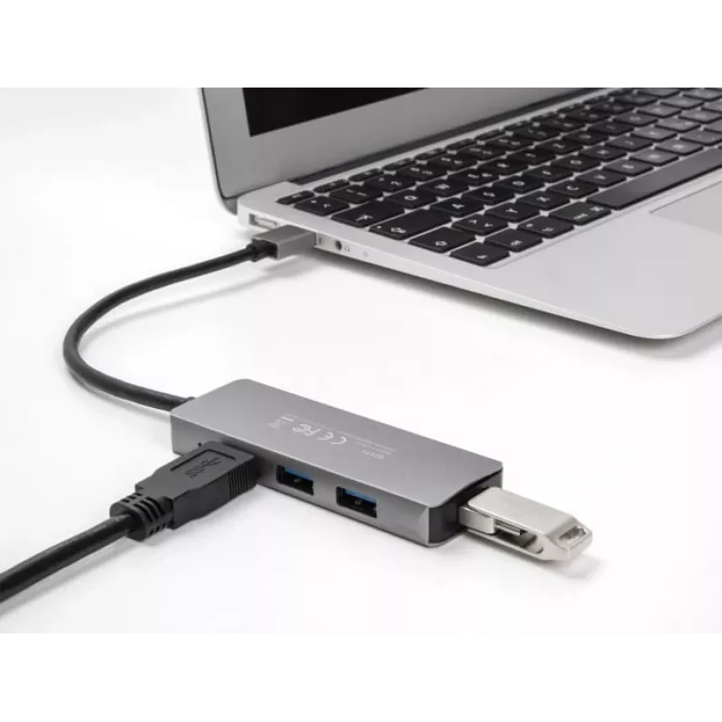 DeLOCK 63171 USB-hub 3.2 Gen 1 Type-A 5000 Mbit/s grijs