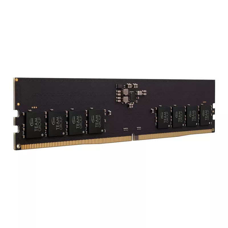 Team Group Team Elite - DDR5 - module - 32 GB - DIMM 288-pins