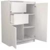 Topeshop 2D2S BIEL ladekast, wit