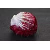 Lettuce Chicory Palla Rossa 3 Toraf groentezaden, 5g-pakket