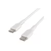 USB-kabel Belkin BoostCharge 1 m USB-C wit USB 2.0