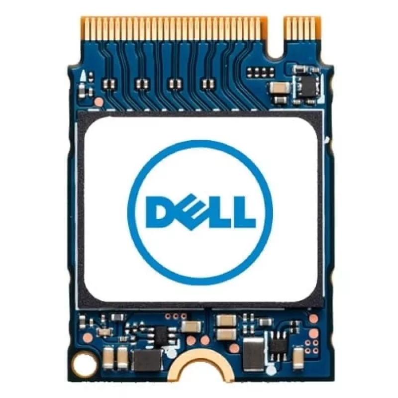 DELL AB673817 interne solid-state-drive 1 TB M.2 PCI Express NVMe