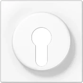 Afdekplaat voor sleutelschakelaar Jung LS 928 WW, wit, IP44-compatibel