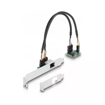 DeLOCK 95271 Interne netwerkkaart 2500 Mbit/s Mini PCI Express
