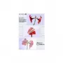 Lamineerfolie Olympia 1x50 DIN A3 125 micron