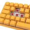 Ducky One 3 SF geel toetsenbord gaming USB mechanisch RGB LED