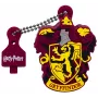 USB-flashdrive Emtec 16 GB USB Type-A Gryffindor