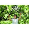 Fiskars PowerGear aambeeldtakkenzaag L77