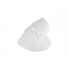 NATEC Crake 2 muis, universeel, voor rechtshandigen, RF Wireless + Bluetooth, optisch, 2400 DPI