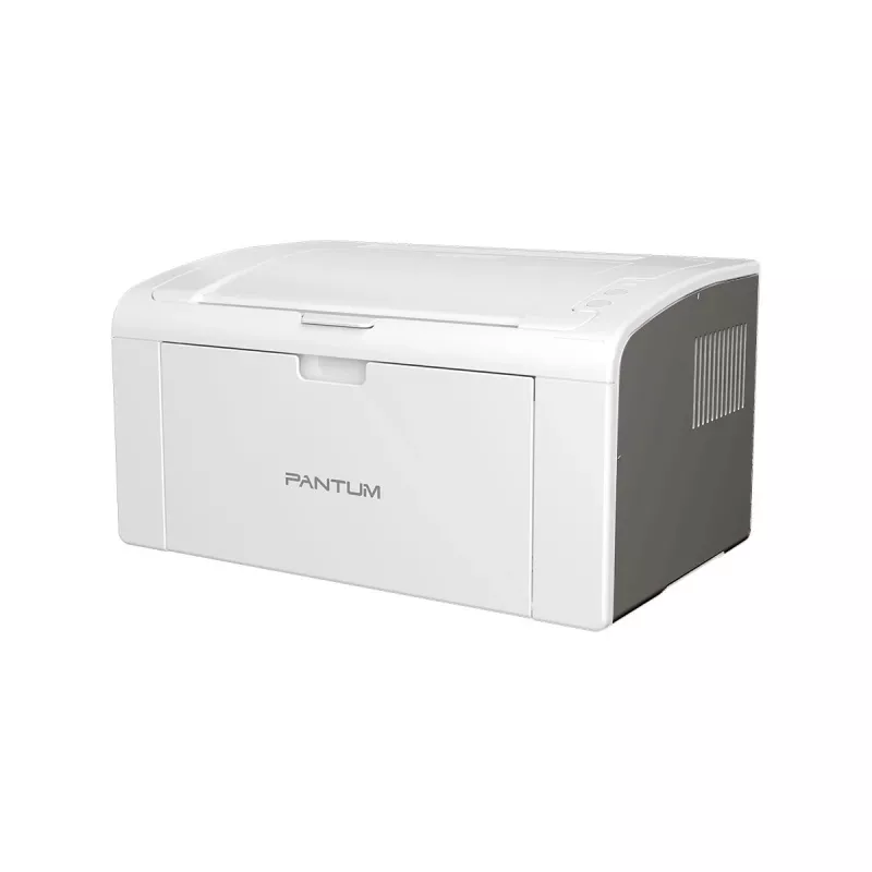 Printer Pantum P2509W laser wit