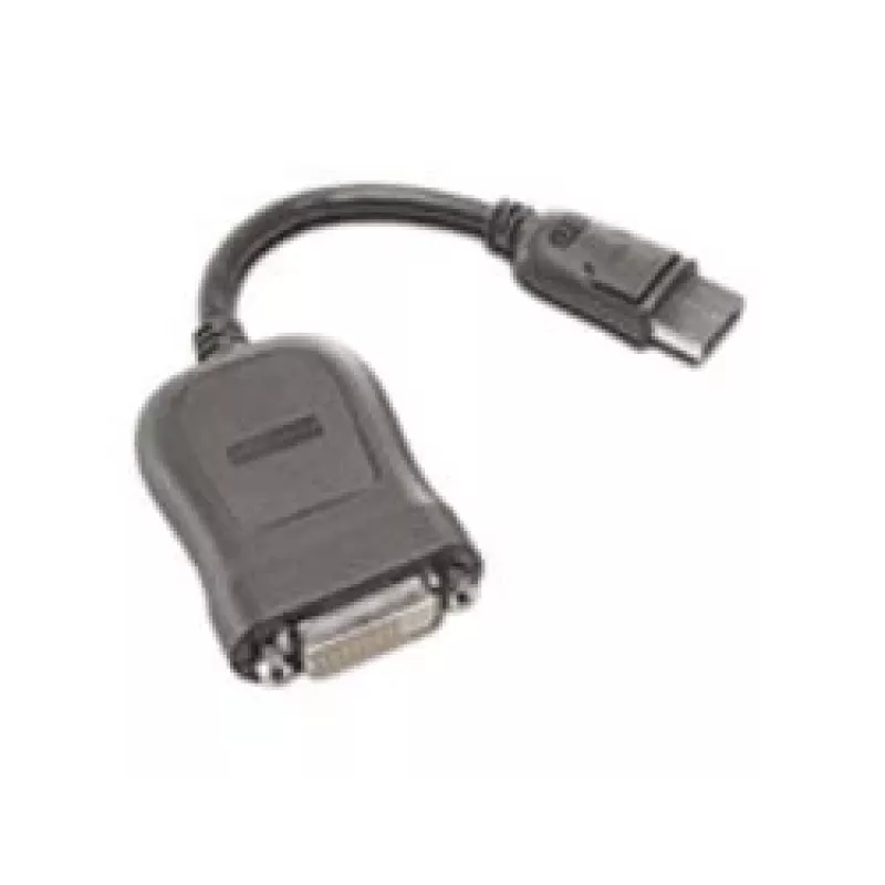 Adapter DisplayPort naar Single-Link DVI-D Lenovo 45J7915