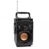Squeak Bassblaster Bluetooth 5.1 luidspreker, FM-radio, MP3-speler SQ1001